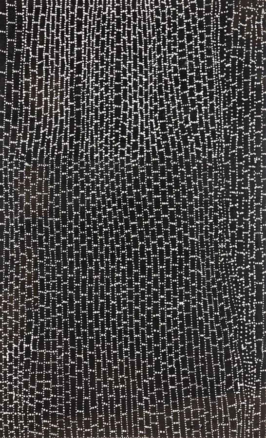 Dorothy Napangardi A12976 | acrylic on linen, 73x120cm, September 2007