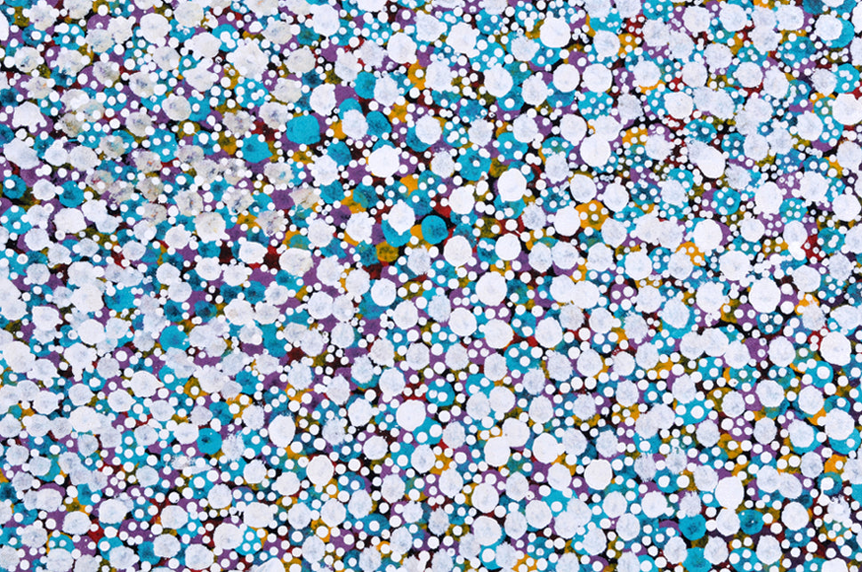 Anwekety (Bush Plum) A16341