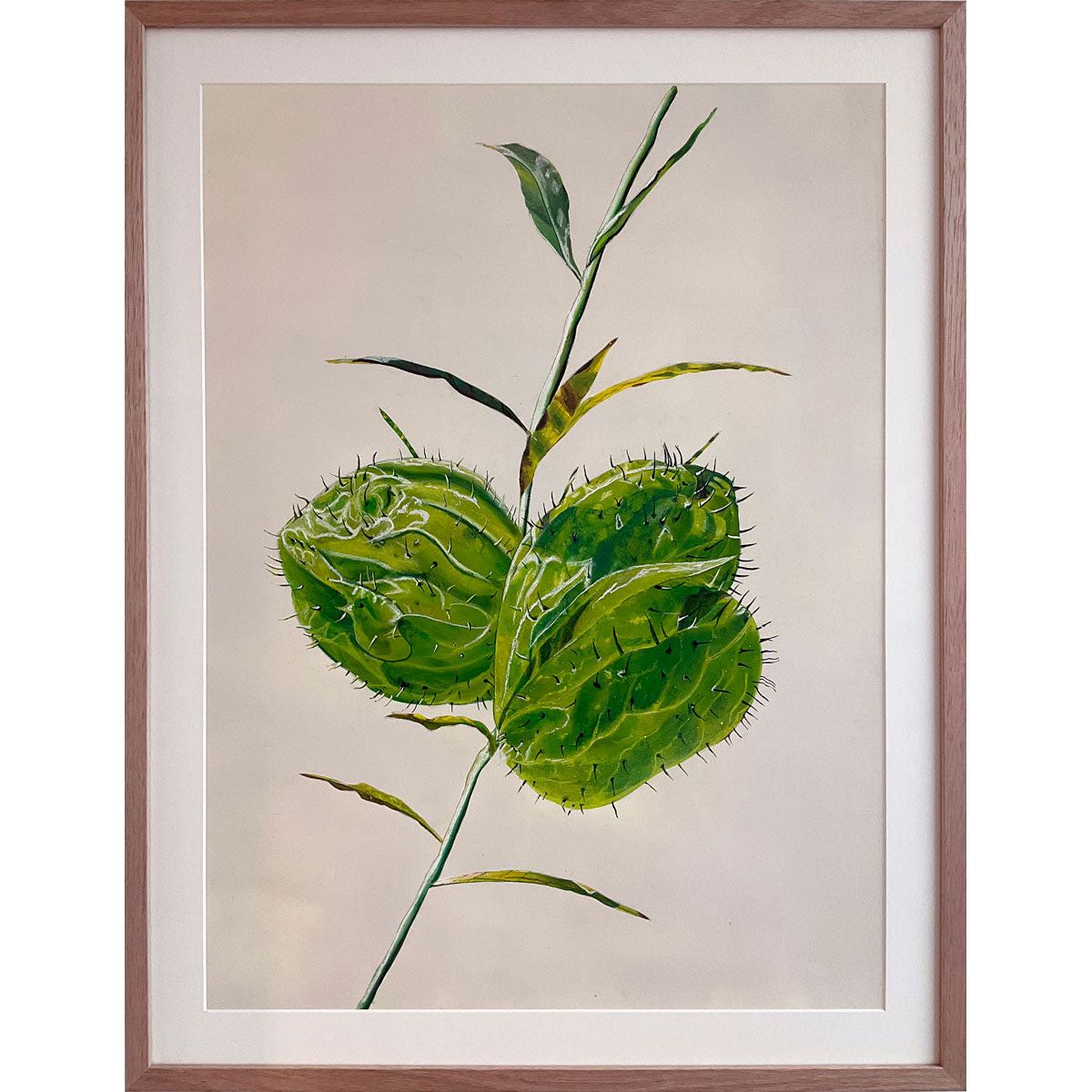 David Hayes artist - Brisbane Art Gallery