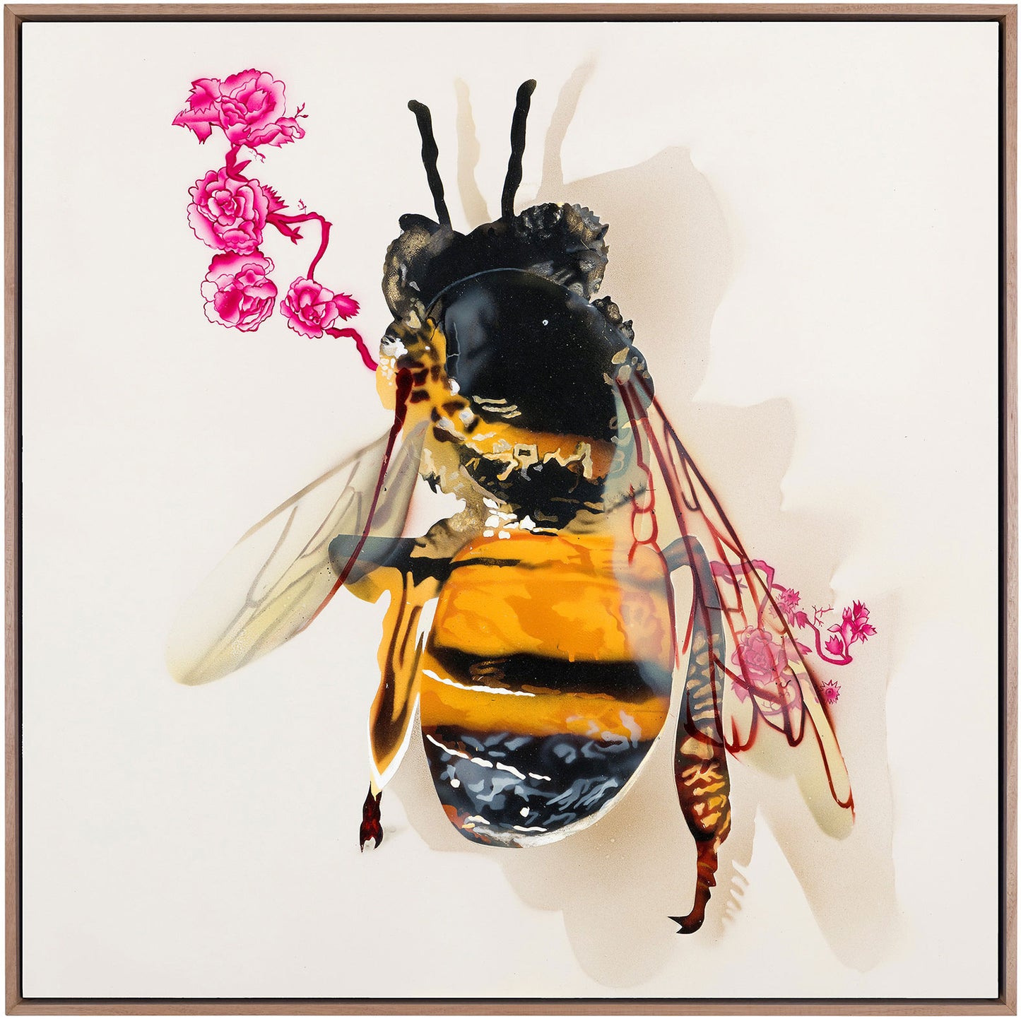 David Hayes Australian Artist