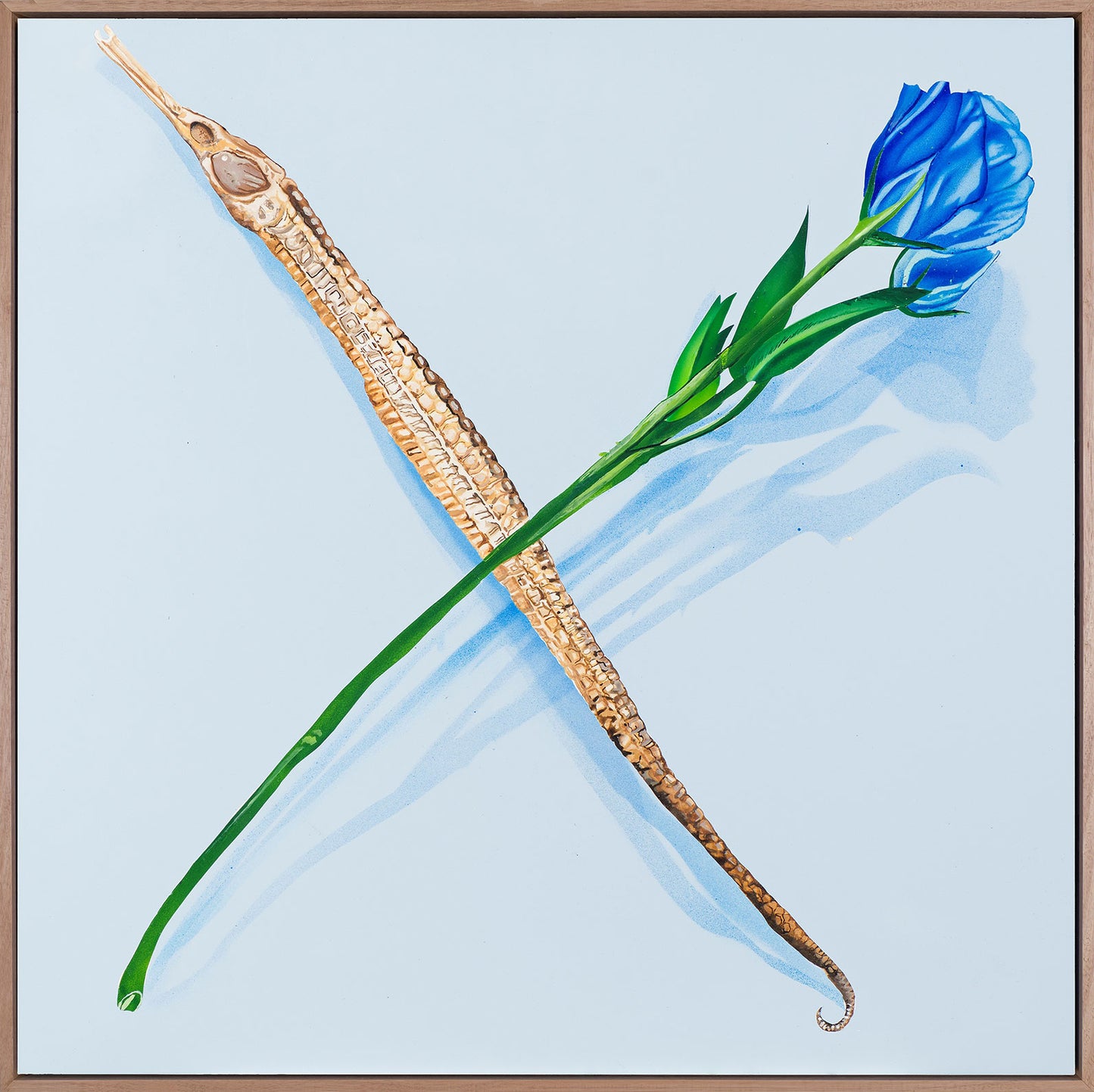 David Hayes Contemporary Artist