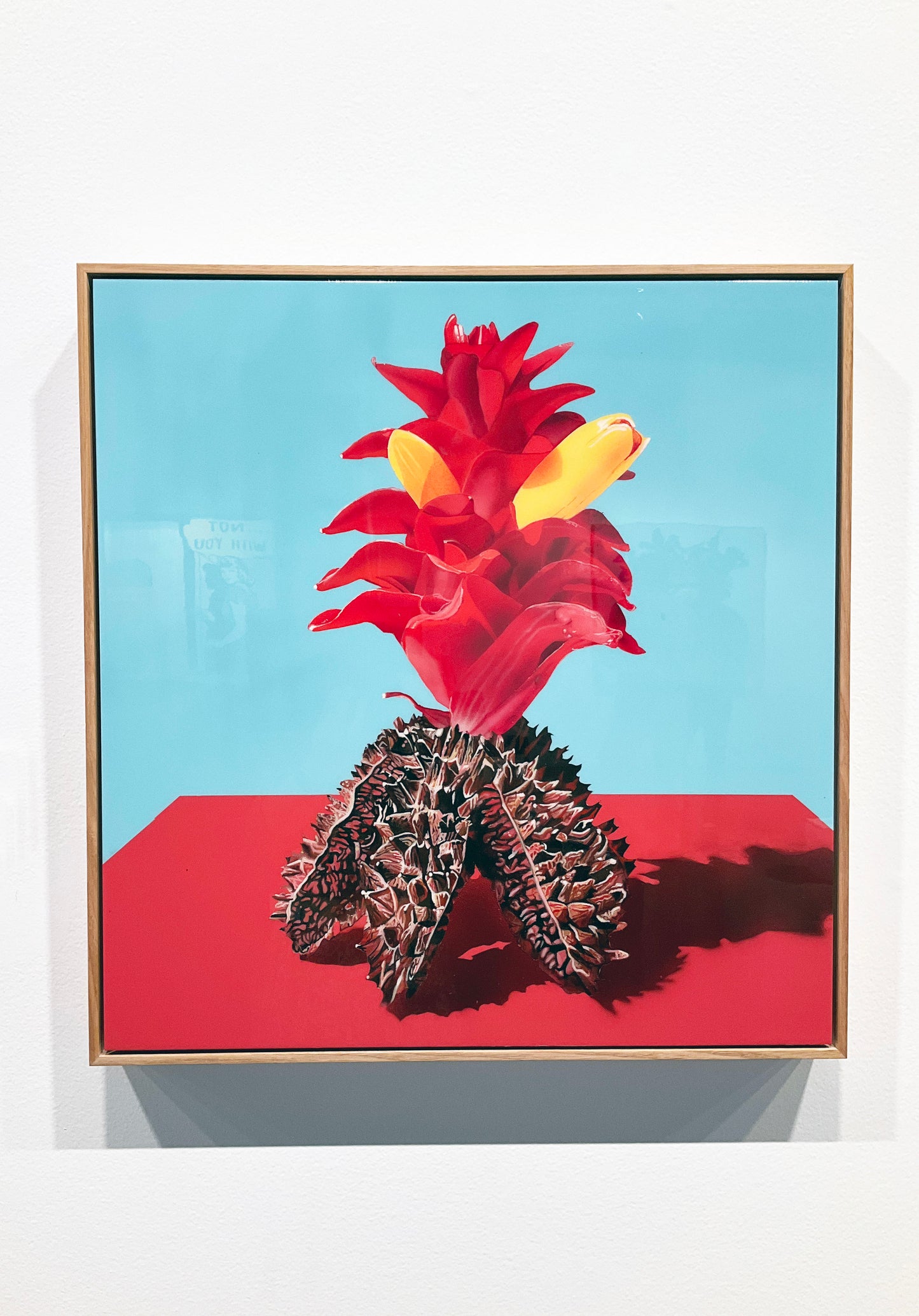 David Hayes artworks Brisbane