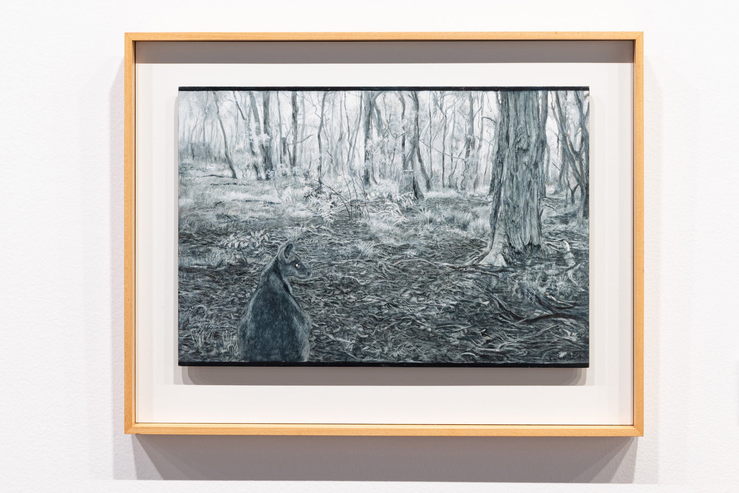 Kim Wilson Contemporary Art