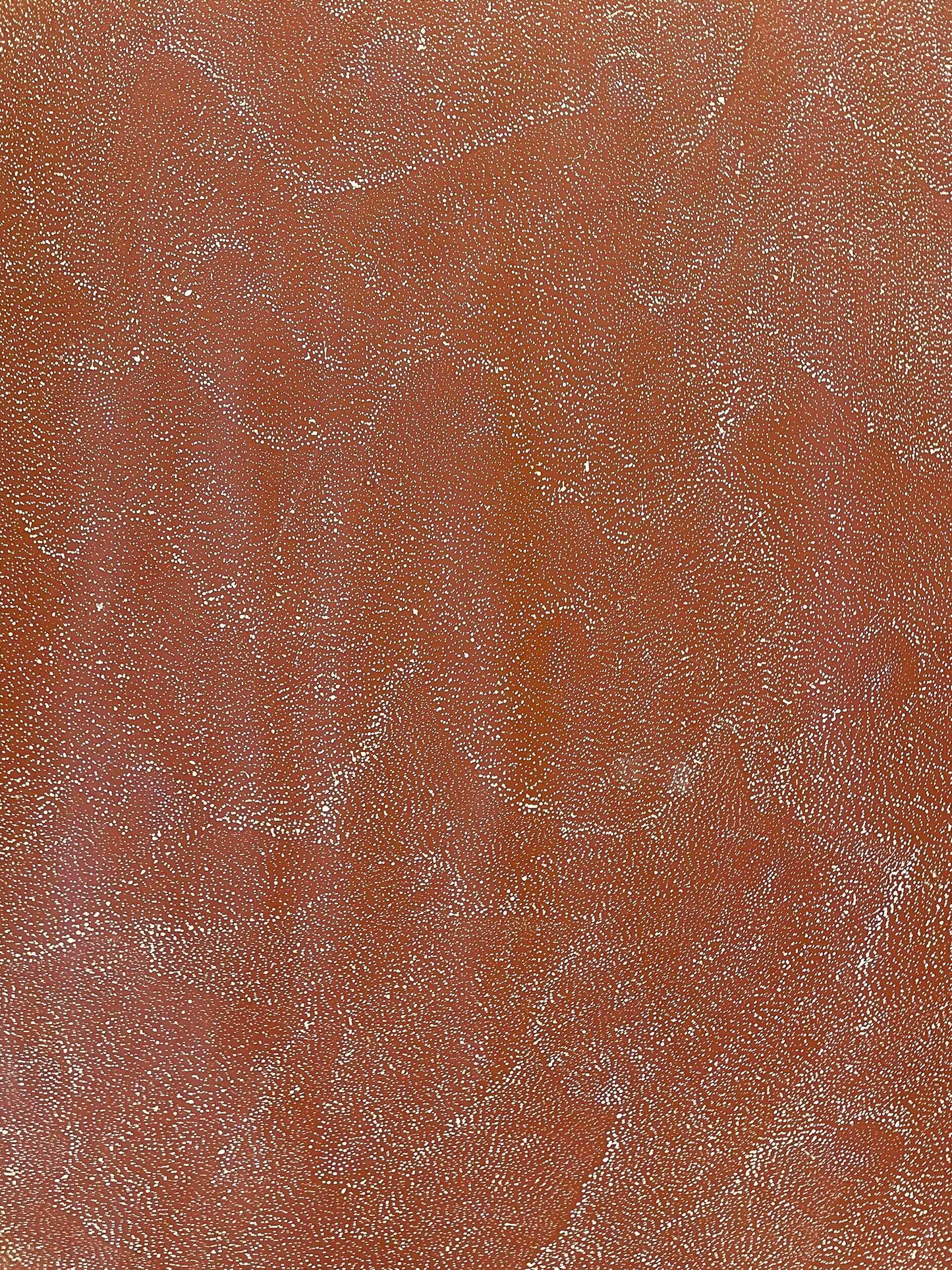 Lily Kelly Napangardi | Tali (Sandhills) A16198 - Mitchell Fine Art