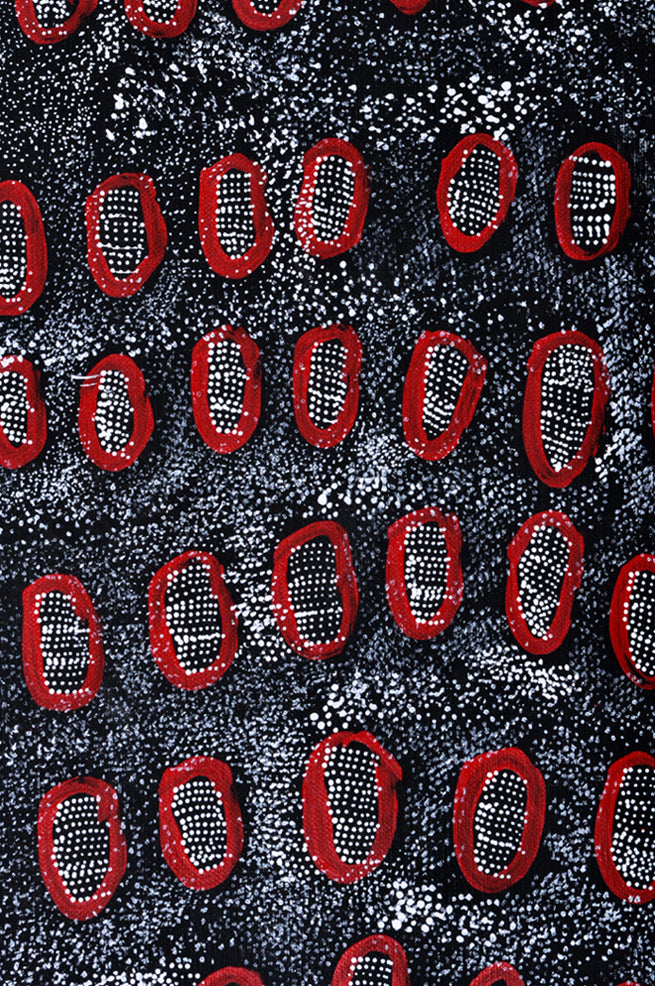 Ngoia Pollard Napaltjarri paintings