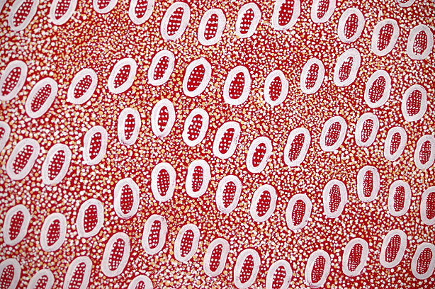 Ngoia Pollard Napaltjarri - Aboriginal art Brisbane