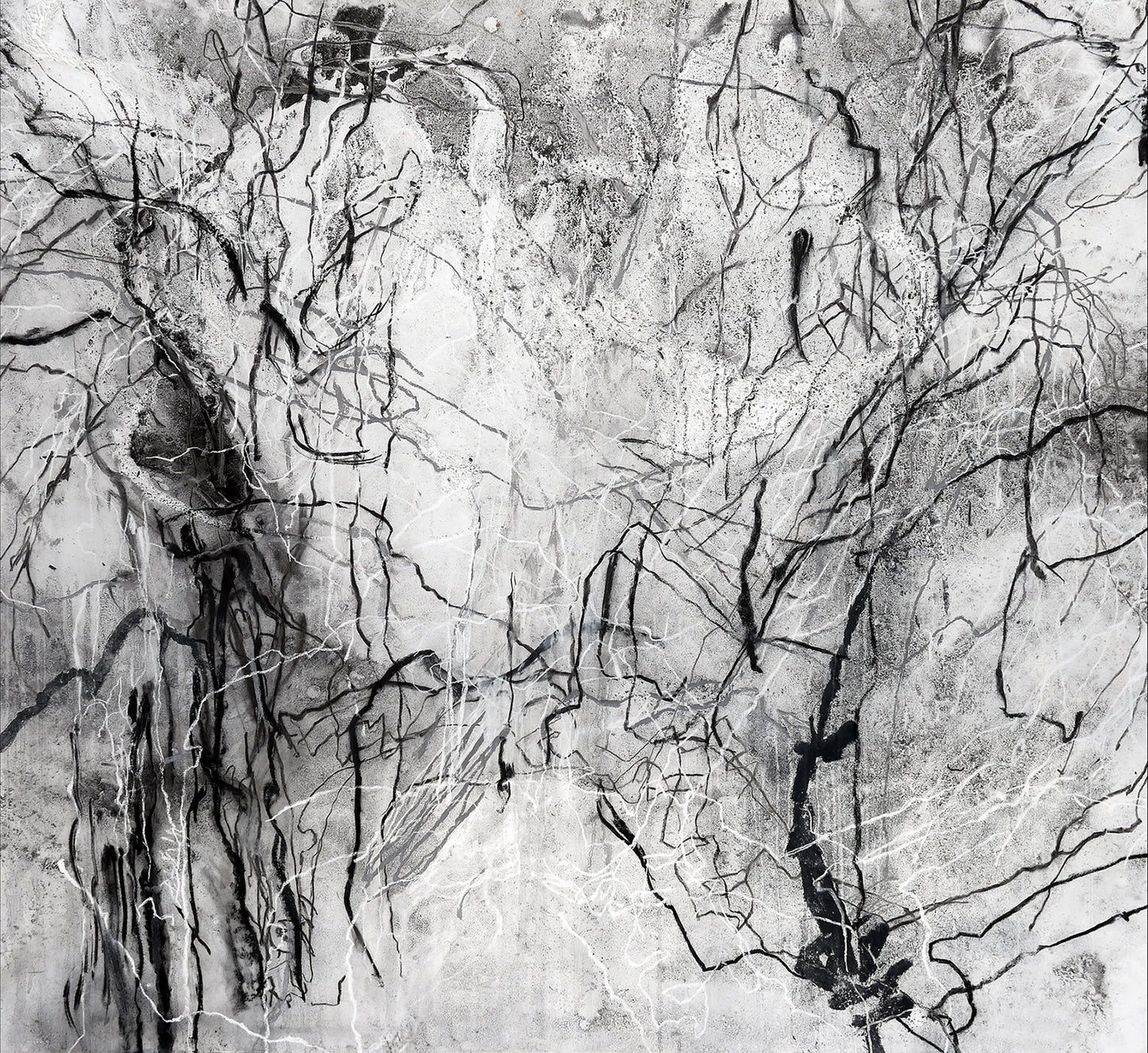 Sophie Cape Contemporary Artist