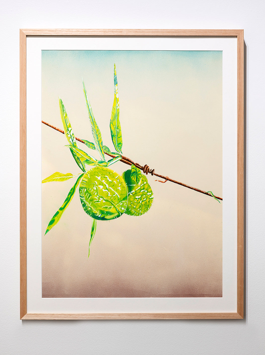 David Hayes paintings - Brisbane Art Gallery