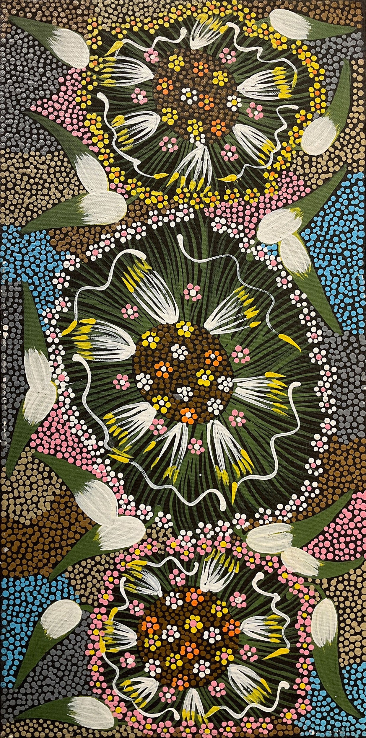 Eunice Napangardi 'Bush Bananas'