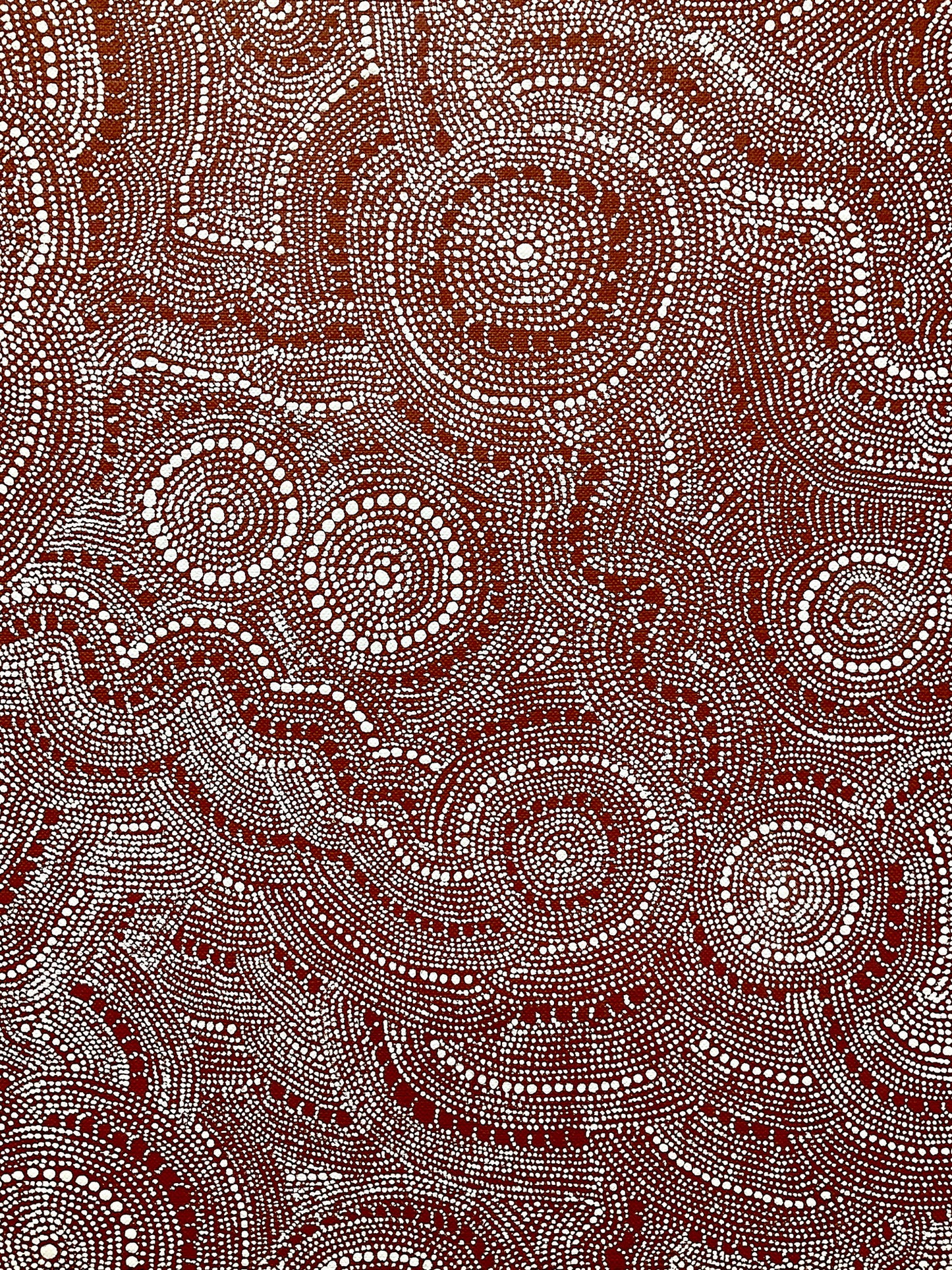 Ngadajirri (Budgerigar Dreaming) A15956