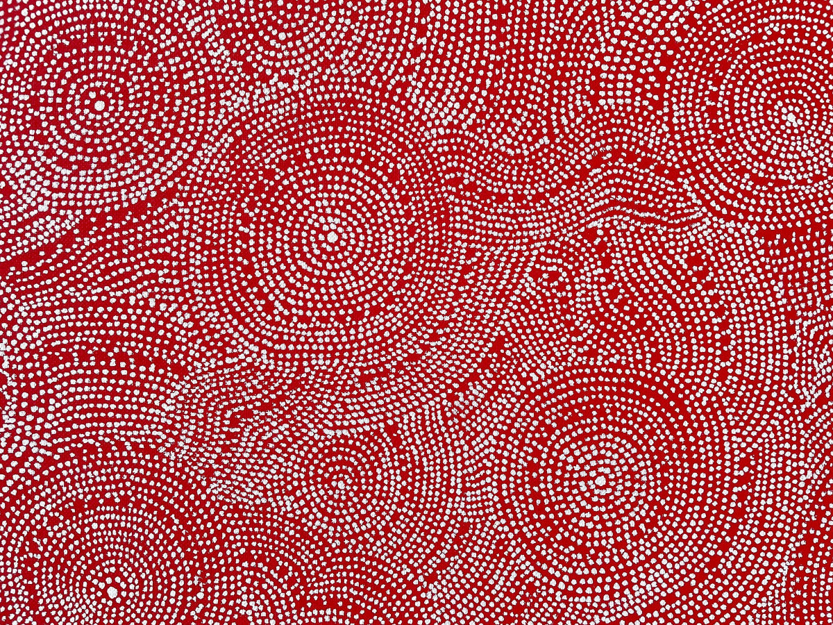 Eva Nelson Napaltjarri Aboriginal Paintings