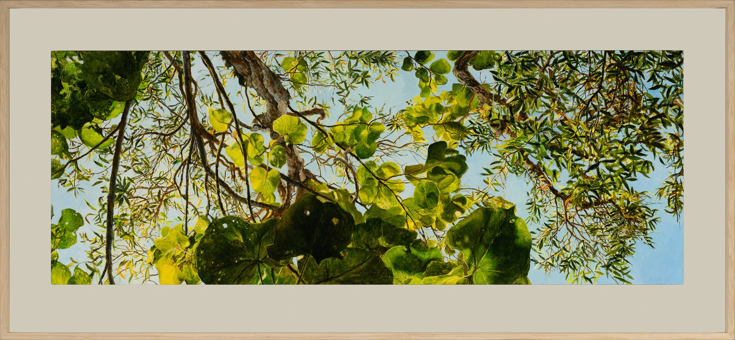 Kim Wilson Brisbane Contemporary Artist hyper-realism painting nature