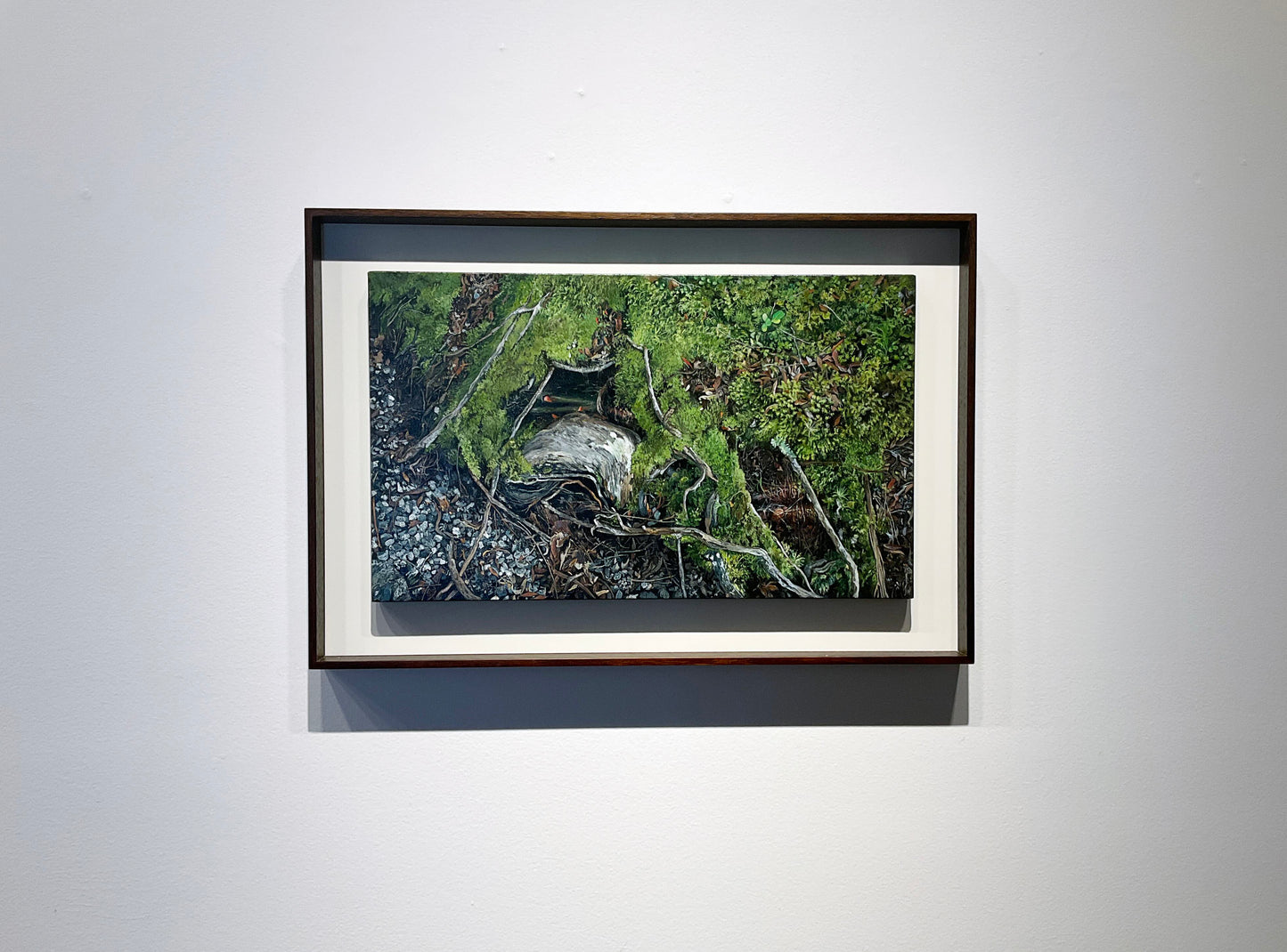 Kim Wilson Brisbane Contemporary Artist hyper-realism painting nature