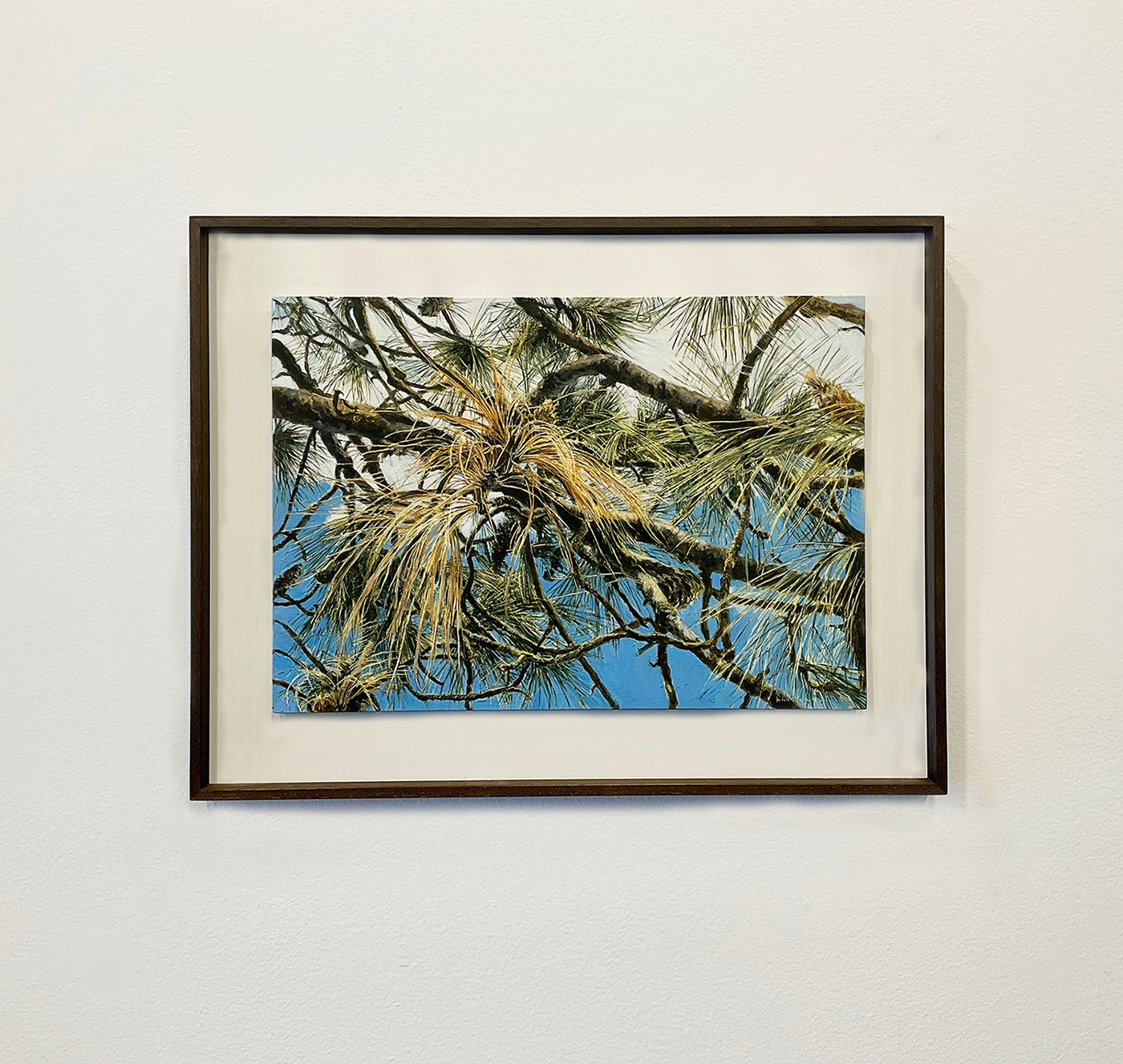 Kim Wilson artworks - Noosa paintings