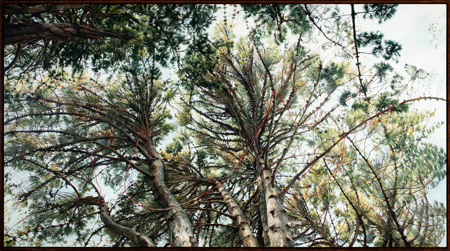 Kim Wilson Brisbane Contemporary Artist hyper-realism painting nature