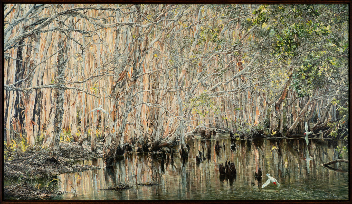 Kim Wilson art - Noosa landscape paintings