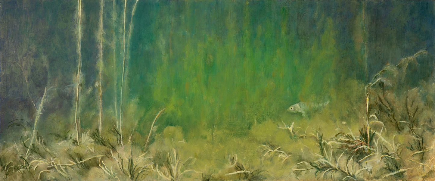 Kim Wilson Brisbane artist