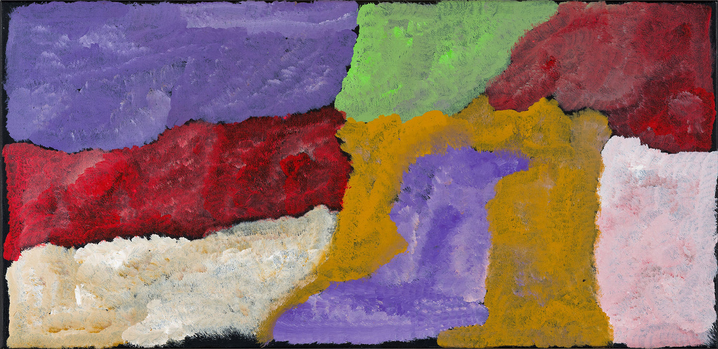 Kudditji Kngwarreye Aboriginal art at Mitchell Fine Art