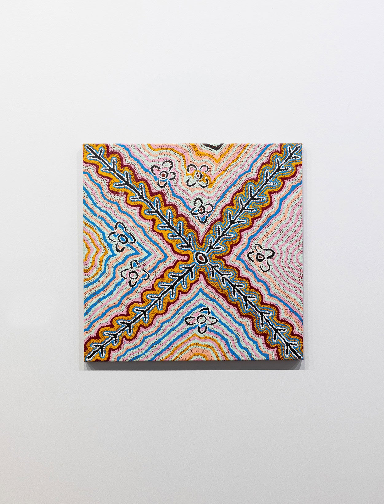 Wanakiji Jukurrpa (tomate de brousse) A14741