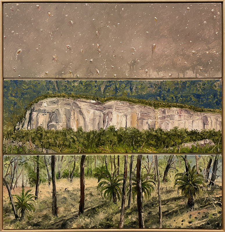 Peter Hudson artist - Under the Southern Cross