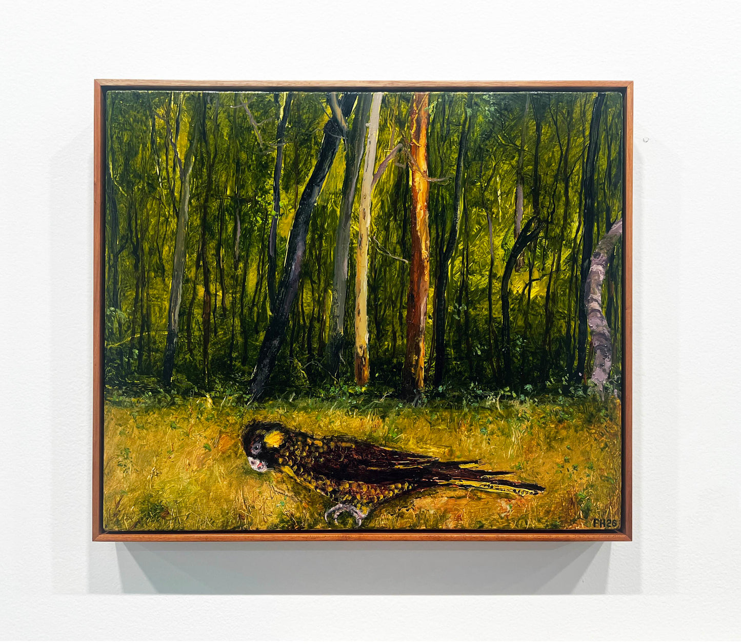Peter Hudson artworks at Mitchell Fine Art