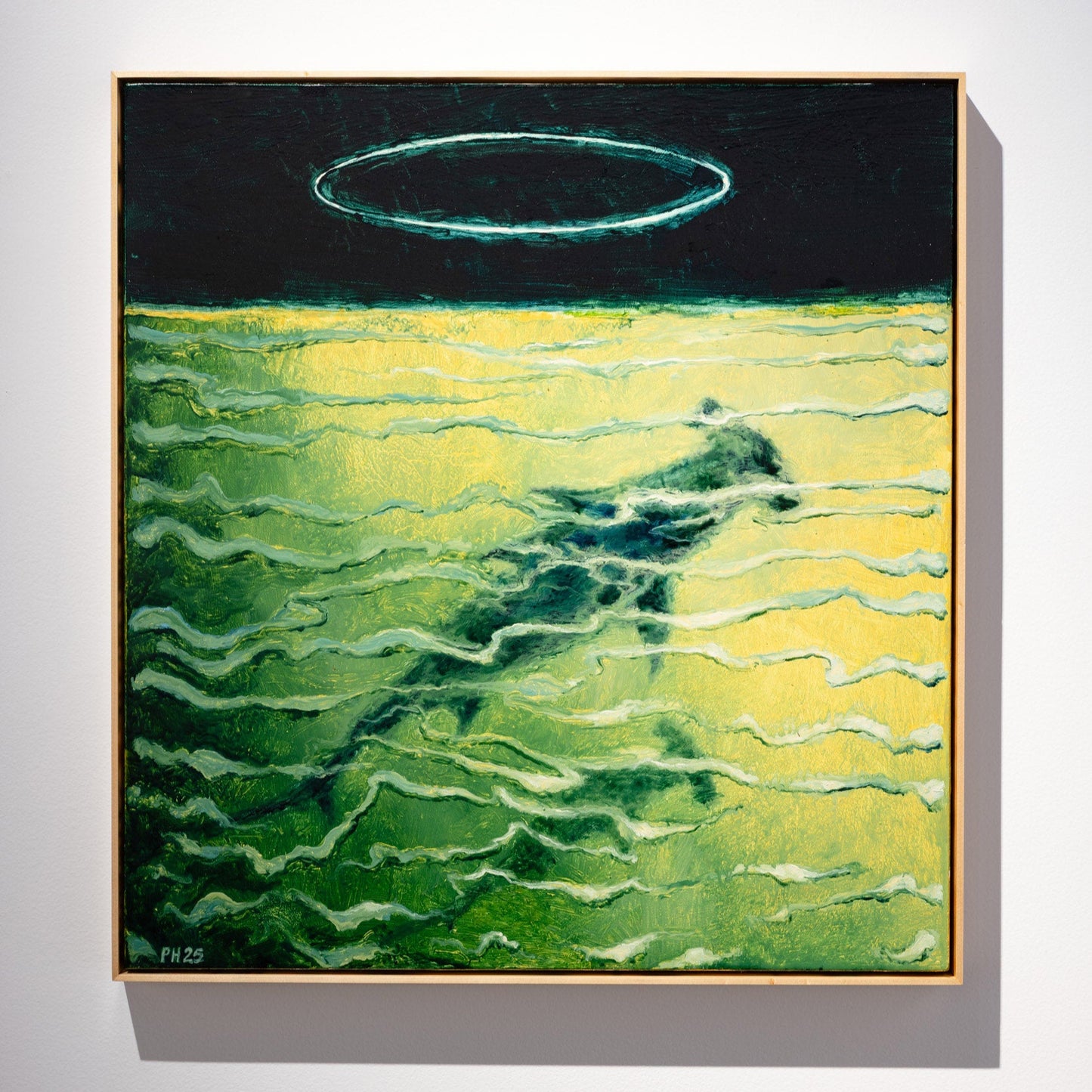 Peter Hudson Contemporary Art