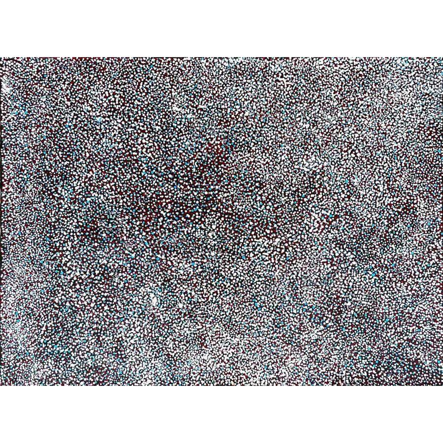 Polly Ngale | Anwekety (Bush Plum) A14371 - Mitchell Fine Art