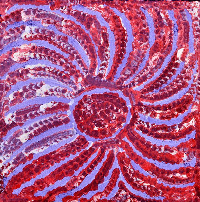 Lorna Fencer Napurrula | Yala (Bush Potato) A4132 - Mitchell Fine Art