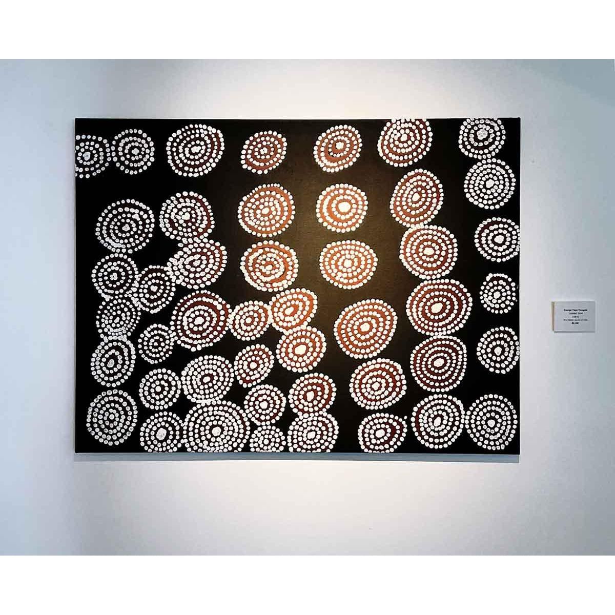 George Yapa Tjangala | Untitled A3810 - Mitchell Fine Art