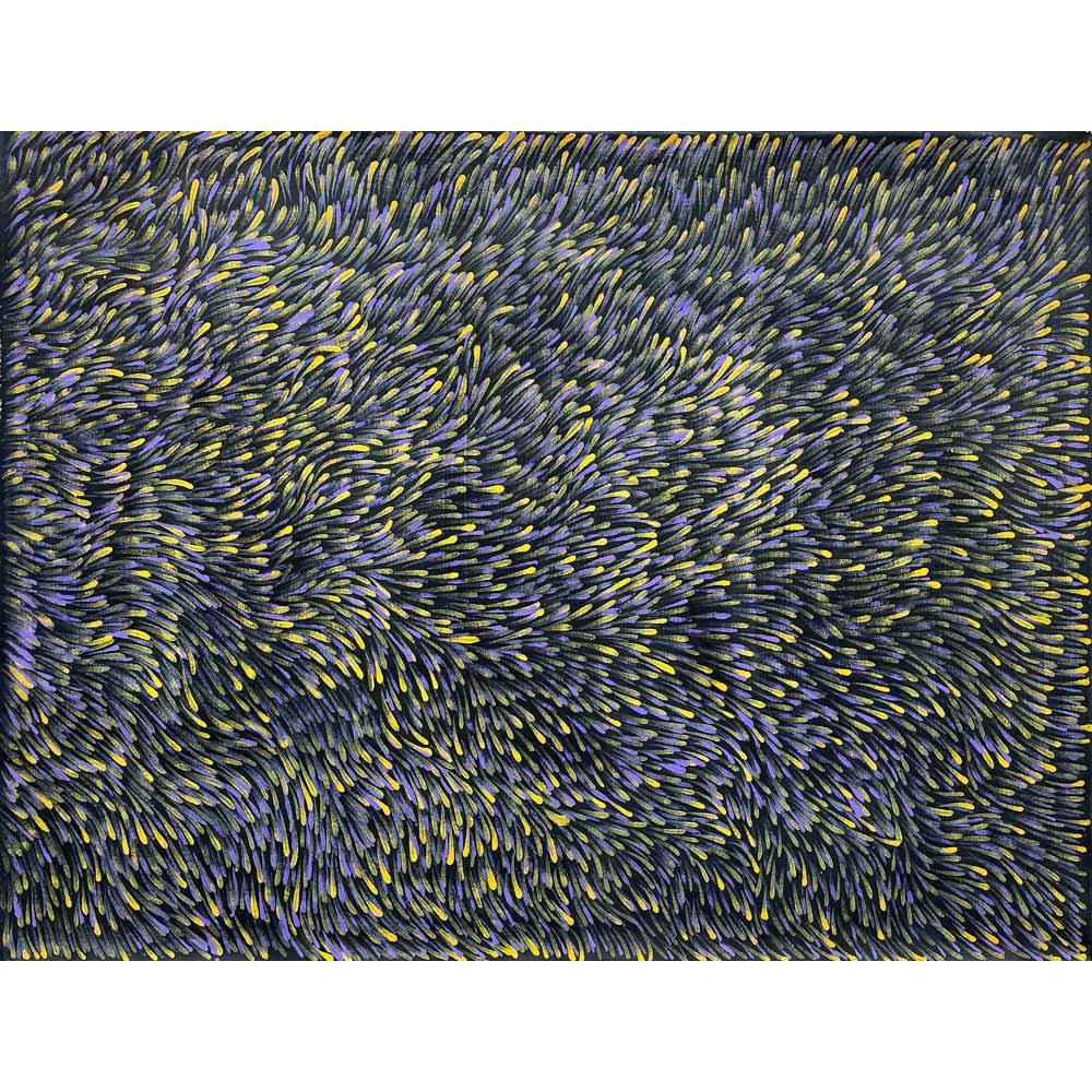 Gloria Petyarre | Medicine Leaves A5112 - Mitchell Fine Art