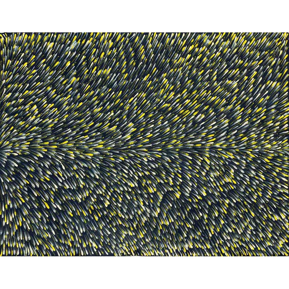 Gloria Petyarre | Medicine Leaves A8976 - Mitchell Fine Art