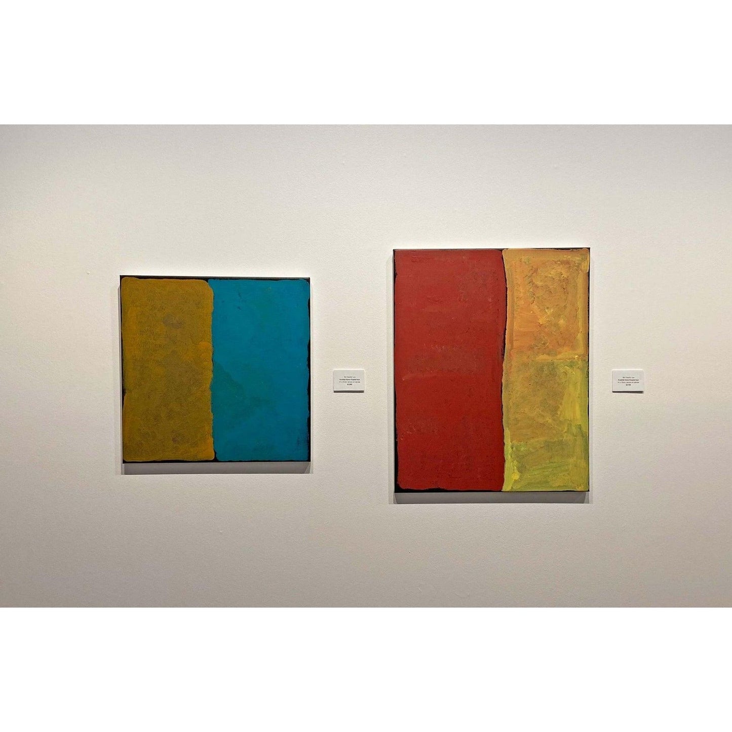 KUDDITJI KNGWARREYE | MY COUNTRY A4690 - Mitchell Fine Art