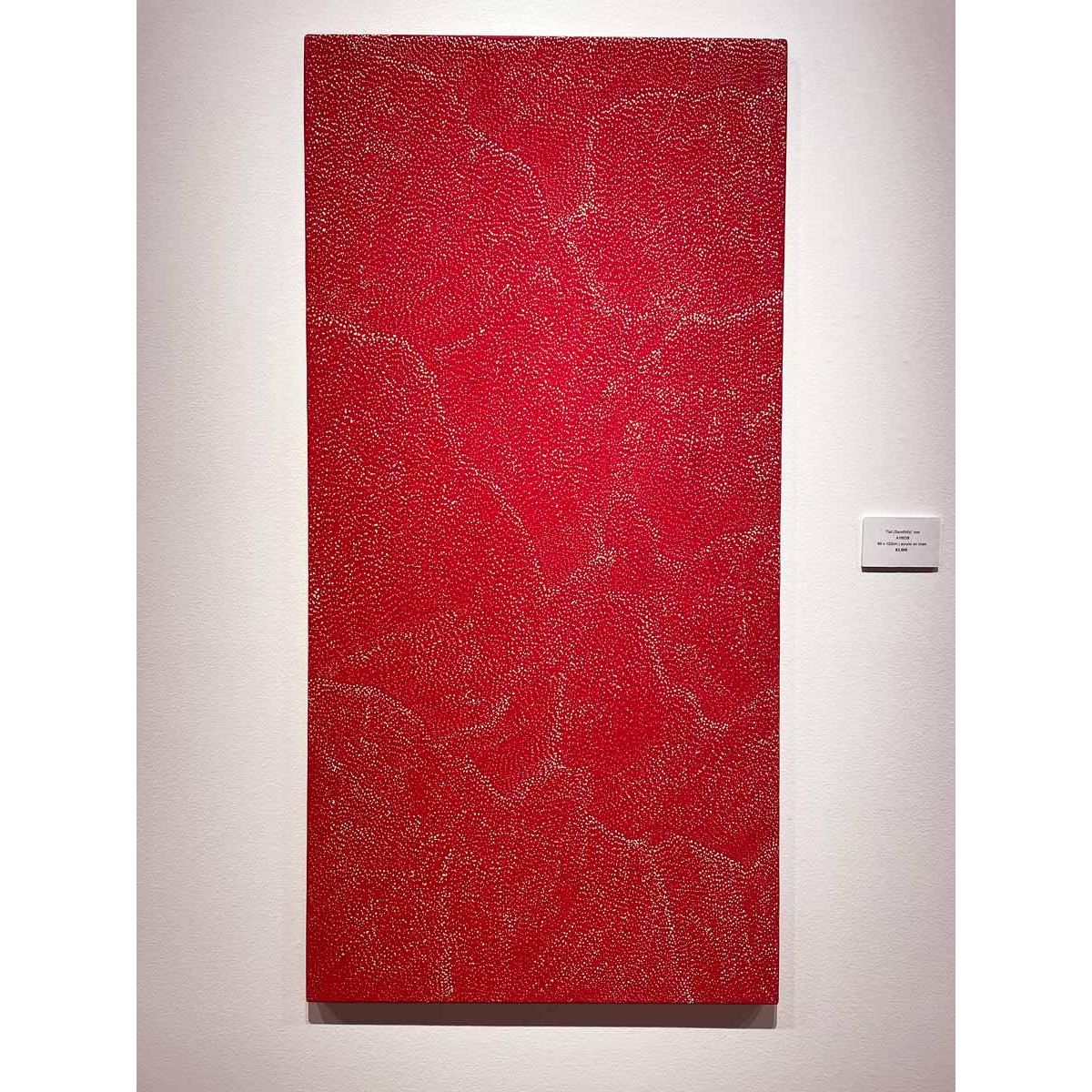 Lily Kelly Napangardi | Tali (Sandhills) A16038 - Mitchell Fine Art