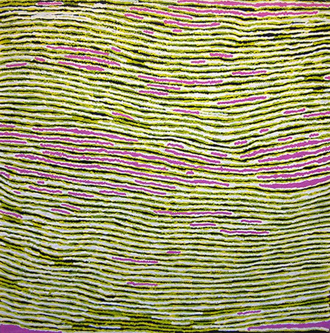 Tali (Sandhills) MK16732 - Alice Nampitjinpa paintings