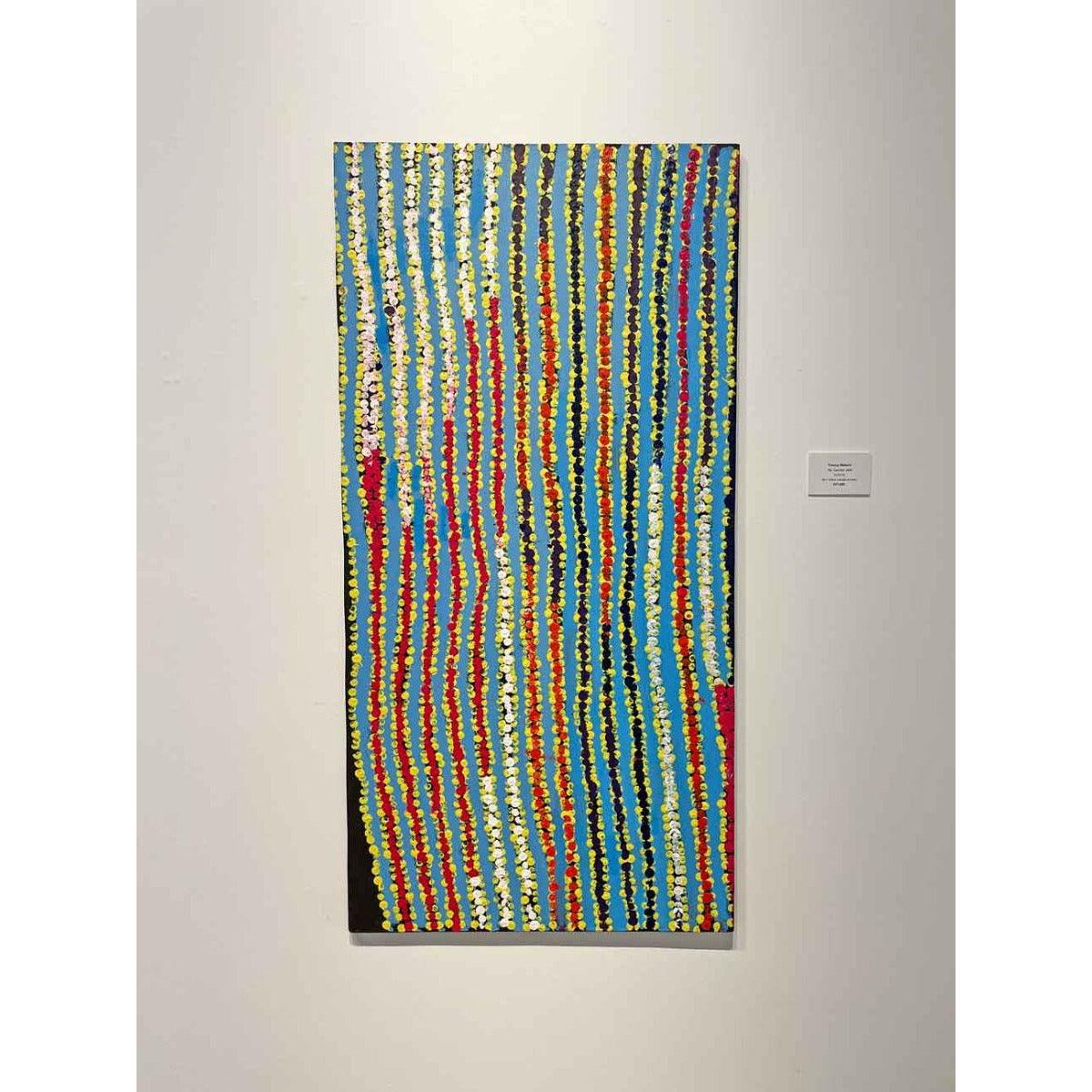 Tommy Watson | My Country A15172 - Mitchell Fine Art