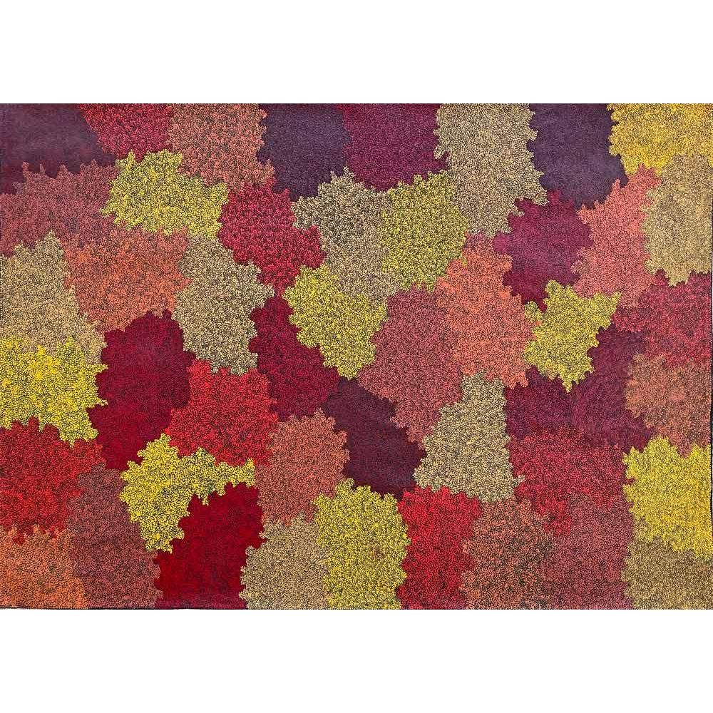 TOPSY PETERSON NAPANGARDI | TALI (SANDHILLS) A13619 - Mitchell Fine Art