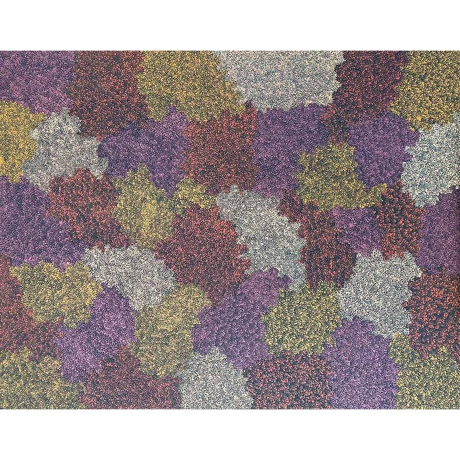 TOPSY PETERSON NAPANGARDI | TALI (SANDHILLS) A14376 - Mitchell Fine Art