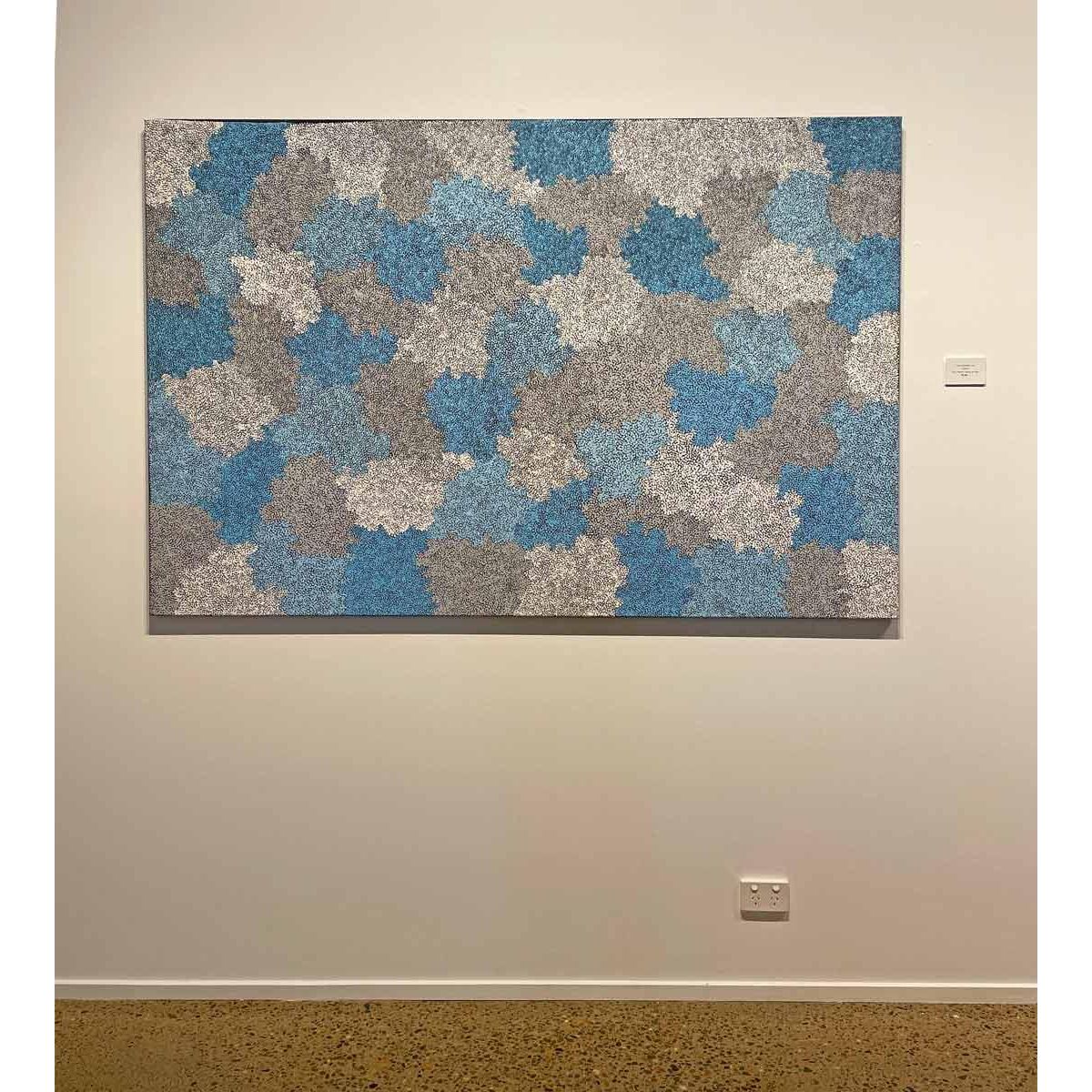 TOPSY PETERSON NAPANGARDI | TALI (SANDHILLS) A15105 - Mitchell Fine Art