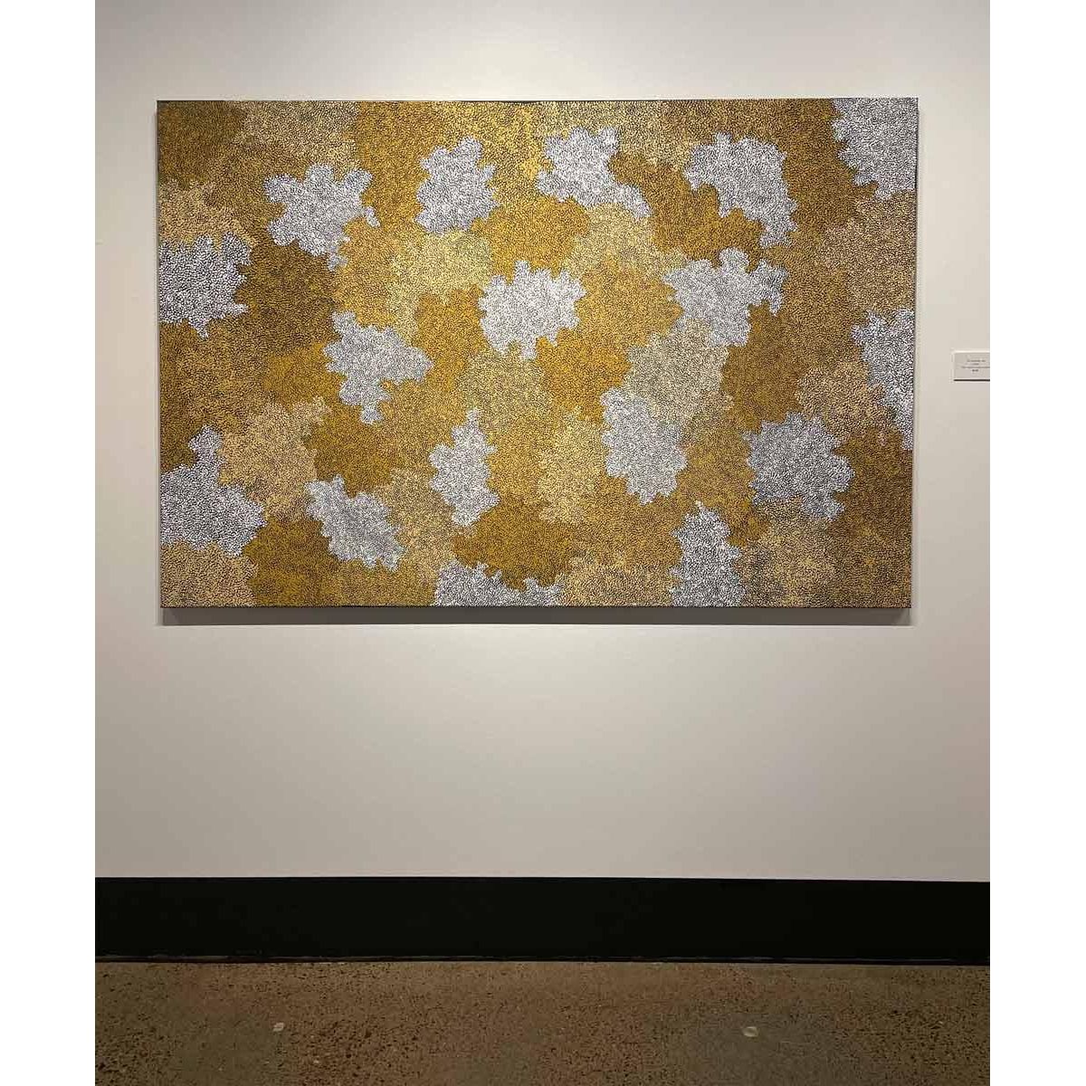 TOPSY PETERSON NAPANGARDI | TALI (SANDHILLS) A15505 - Mitchell Fine Art