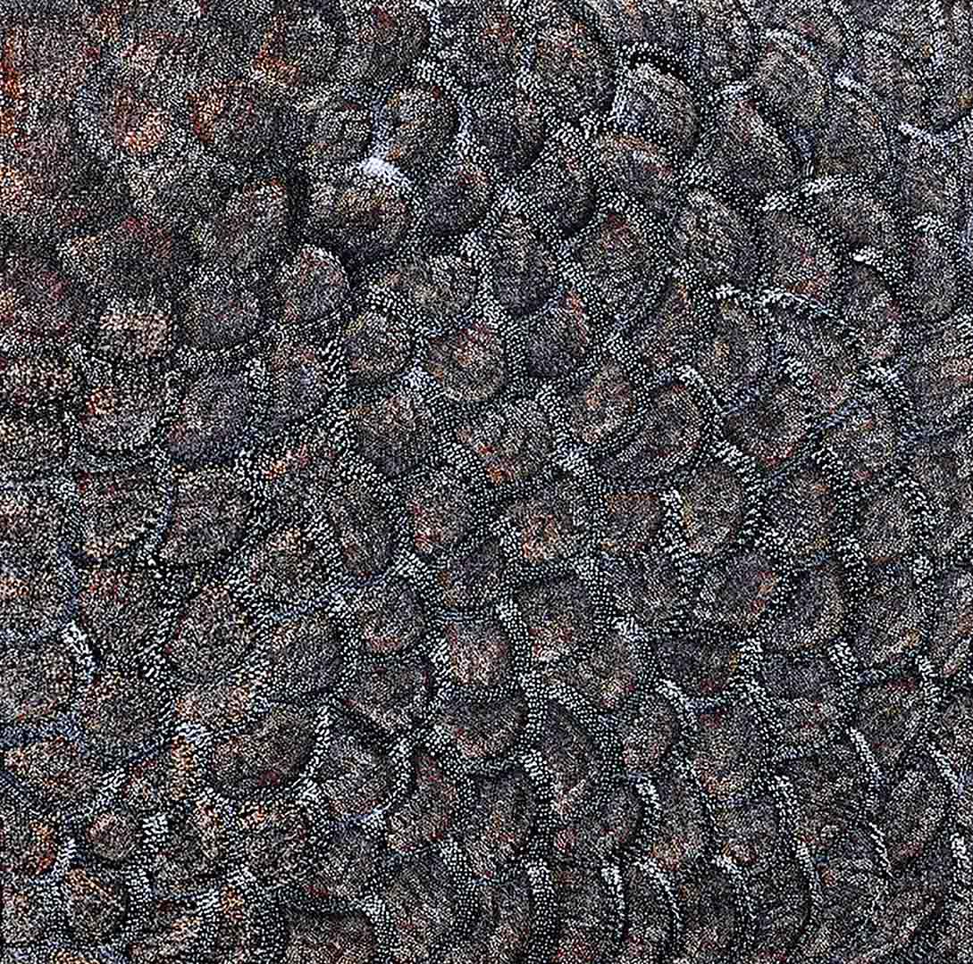 Abie Loy Kemarre | My Country A9959 - Mitchell Fine Art