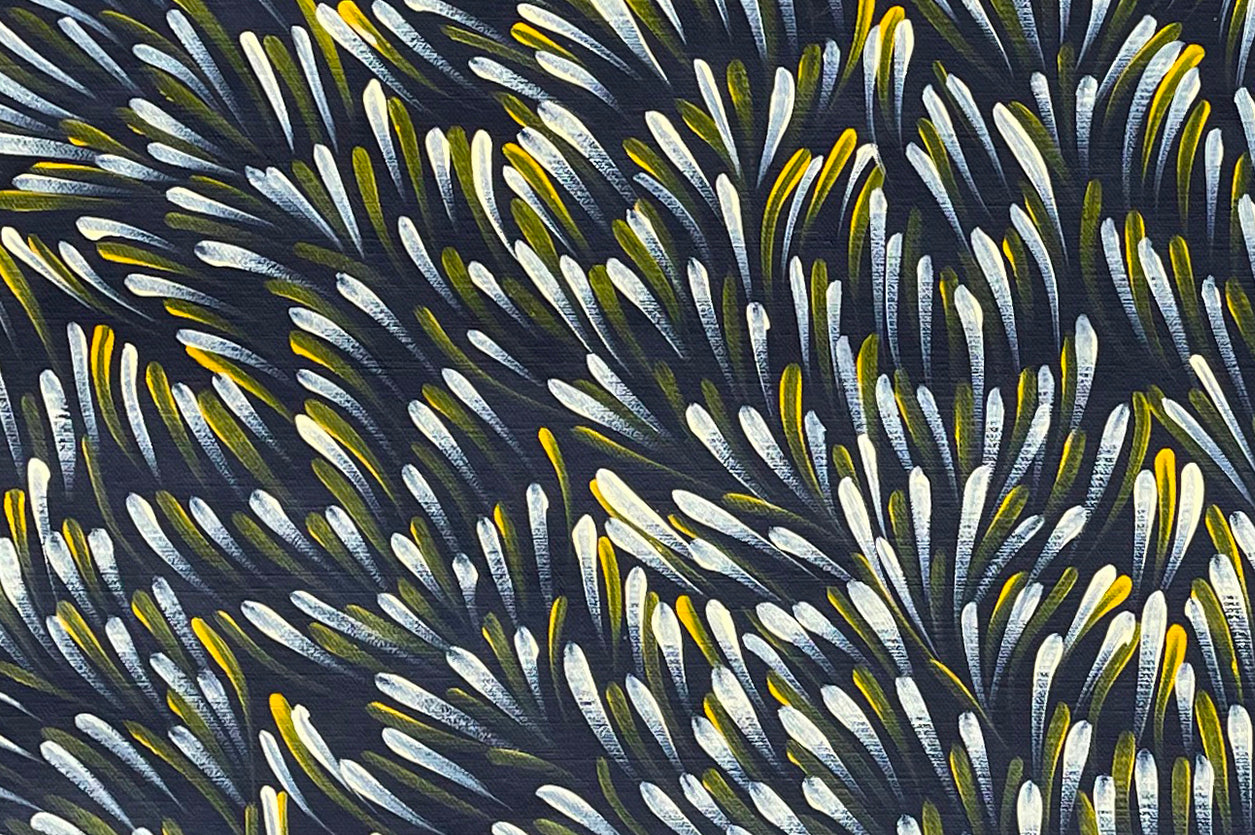 Gloria Petyarre Aboriginal paintings