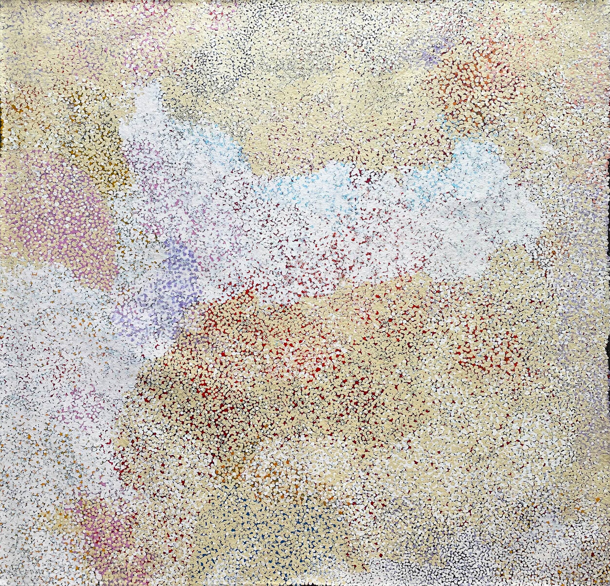 Polly Ngale Anwekety (Bush Plum) painting