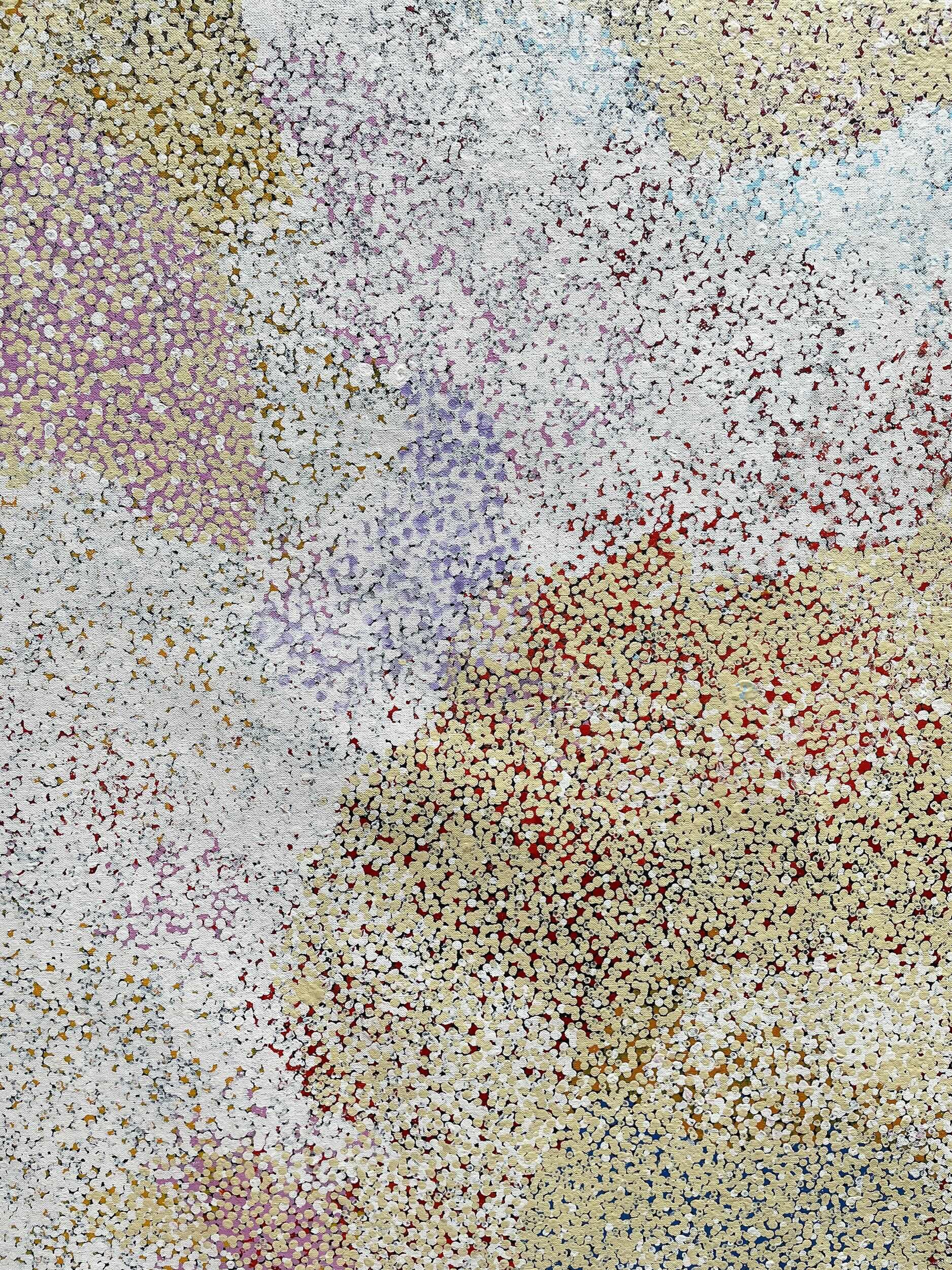 Polly Ngale Anwekety (Bush Plum) painting