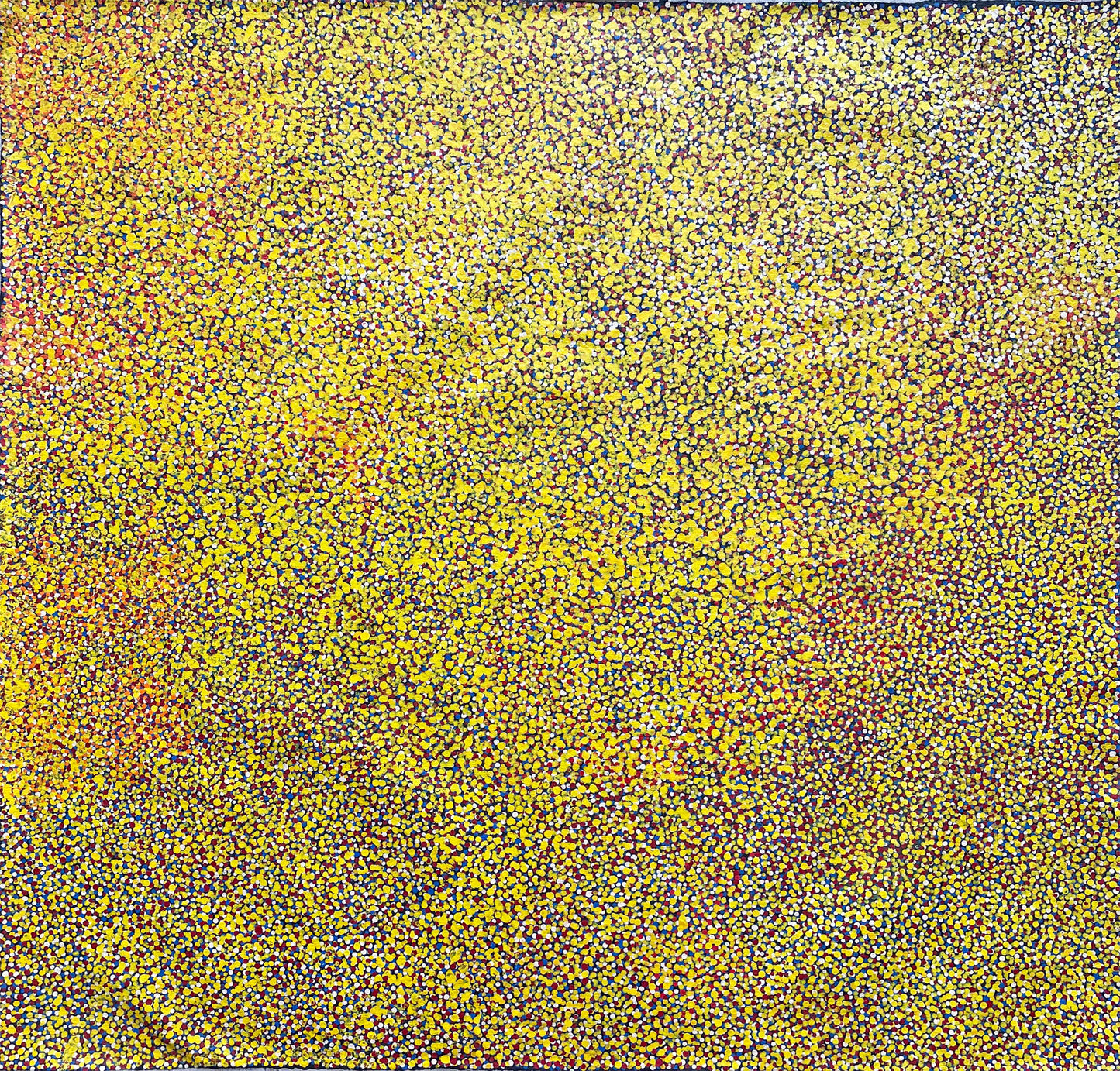 Polly Ngale paintings