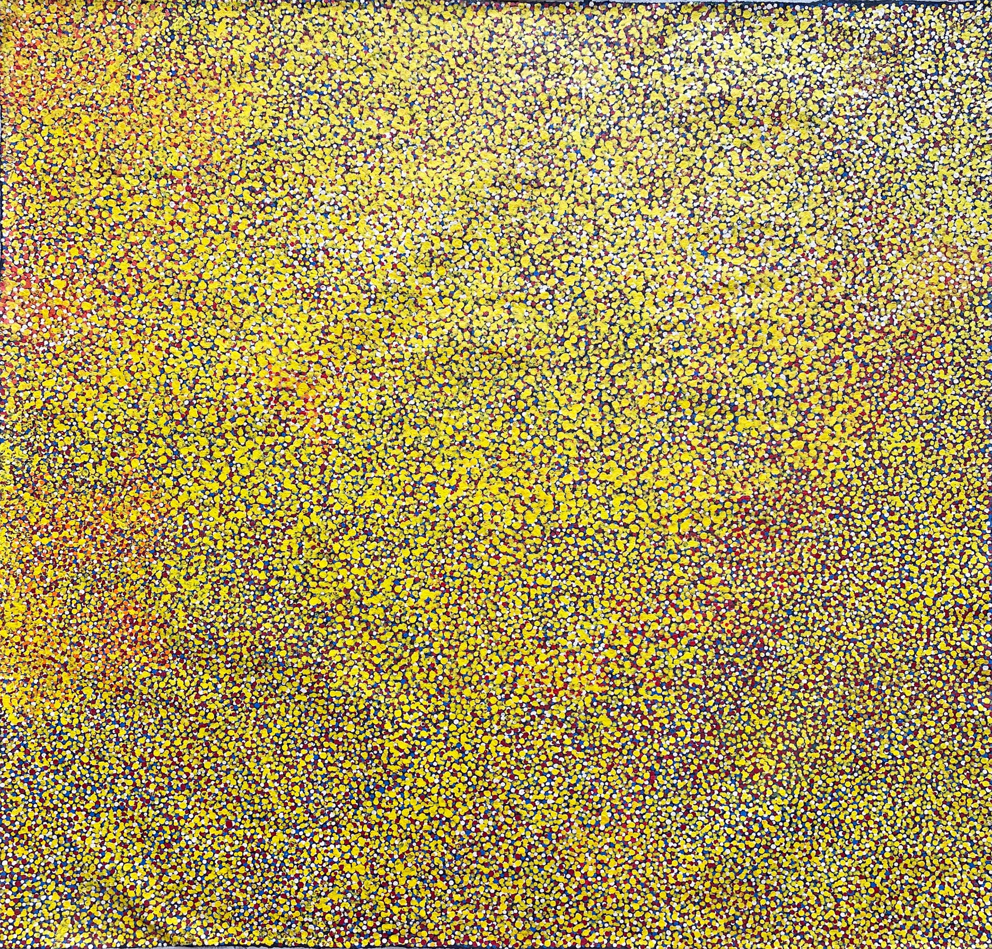 Polly Ngale paintings