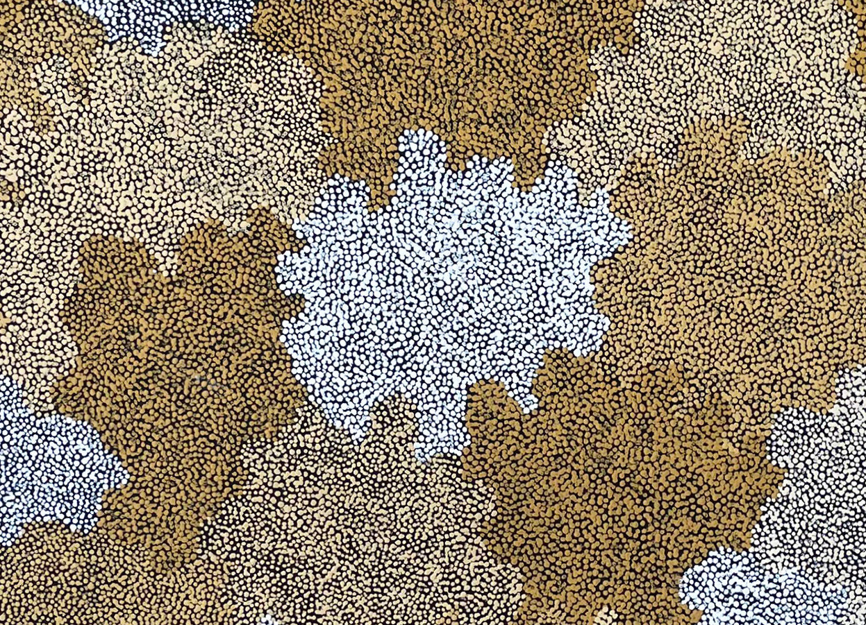 Topsy Peterson Napangardi Aboriginal Artworks