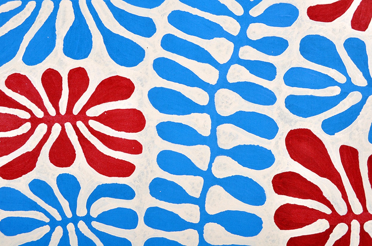 Mitjili Napurrula Aboriginal Ar