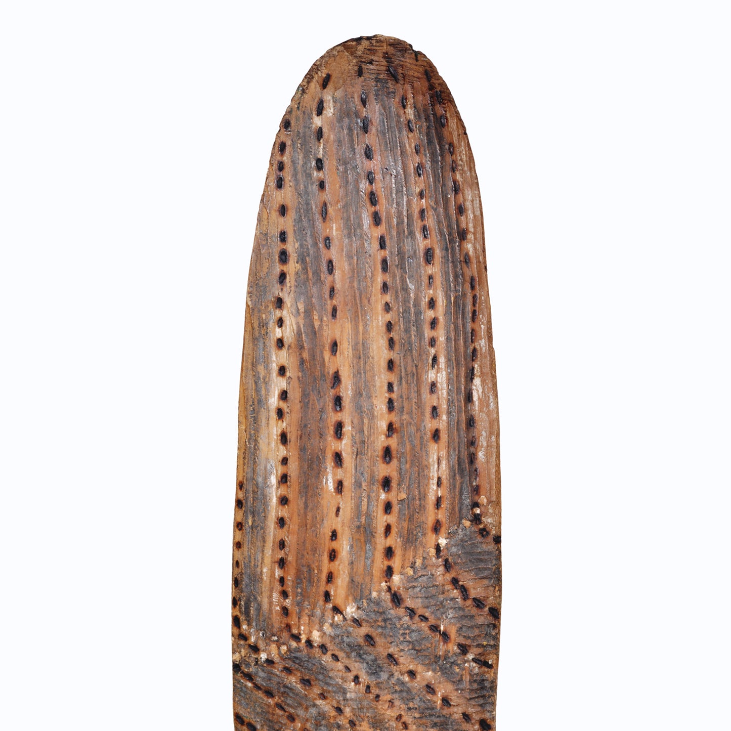 Artefacts available at Mitchell Fine Art Gallery, Brisbane
