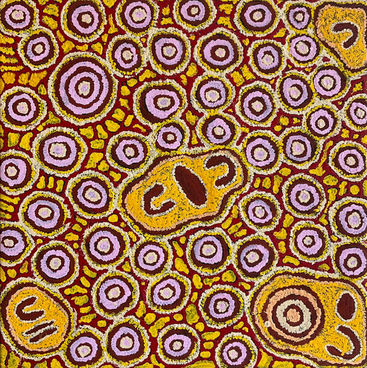 Anne Dixon Nungala Aboriginal art