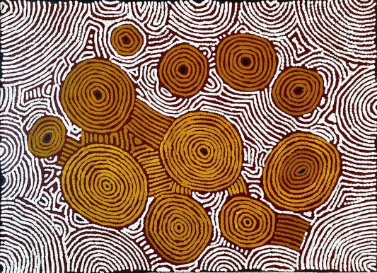 Barney Campbell Tjakamarra - Aboriginal art for sale